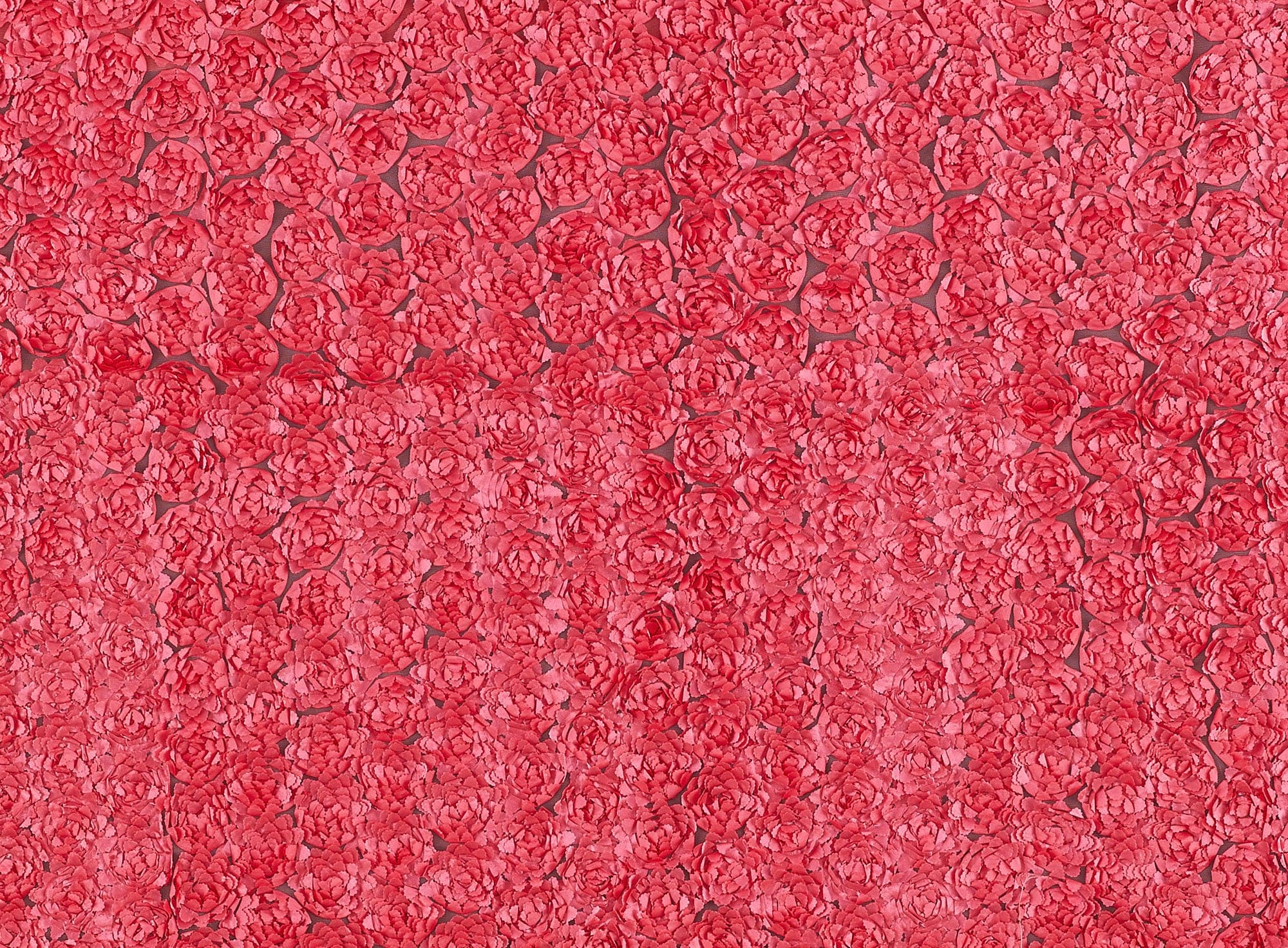 #color_CORAL