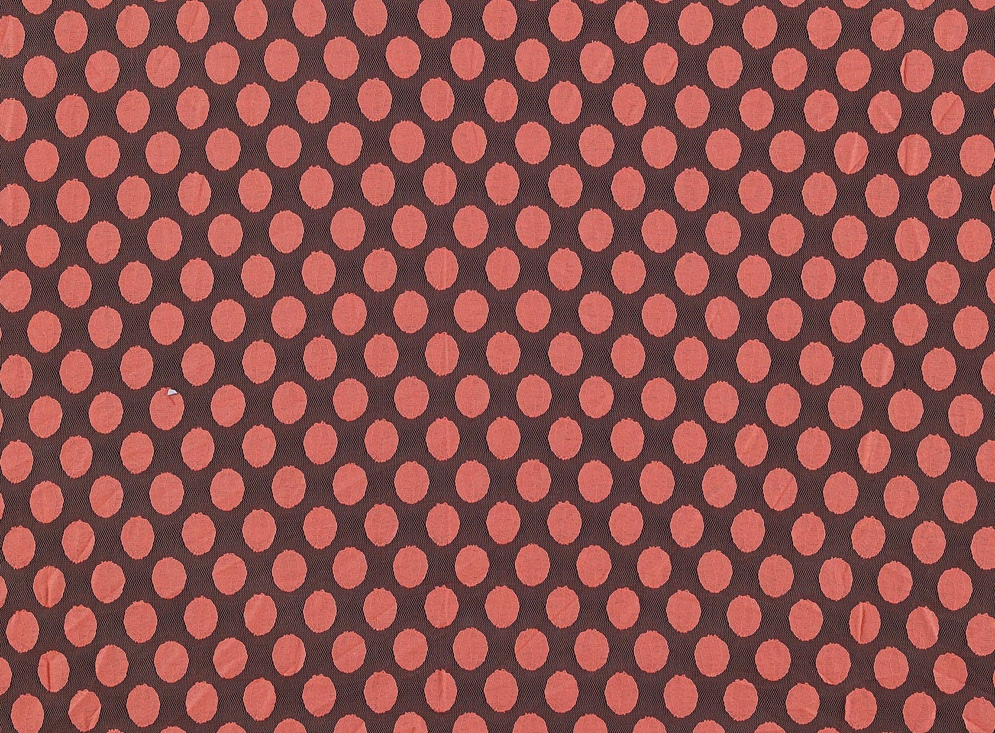 #color_CORAL