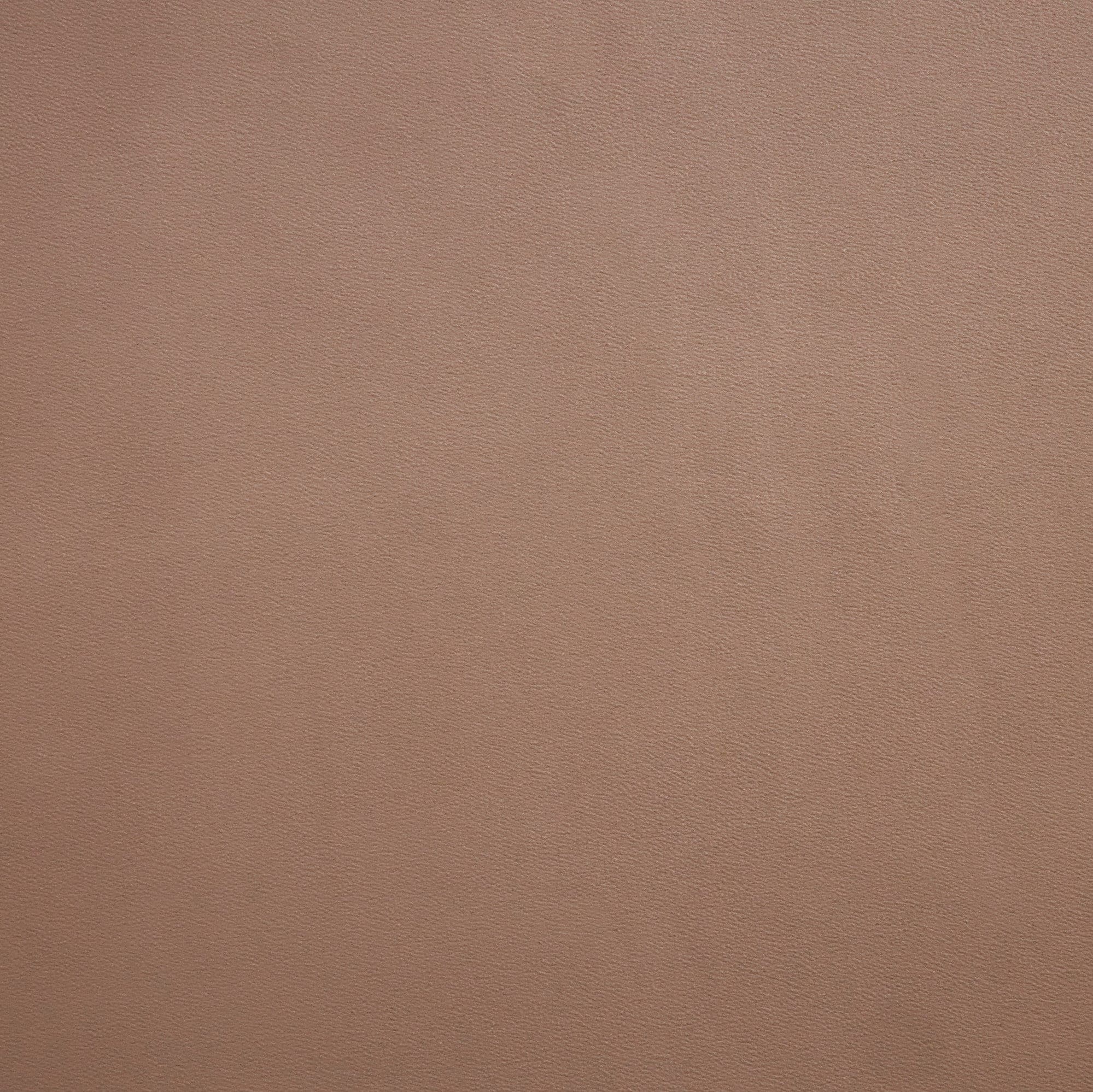 #color_PETAL MIST