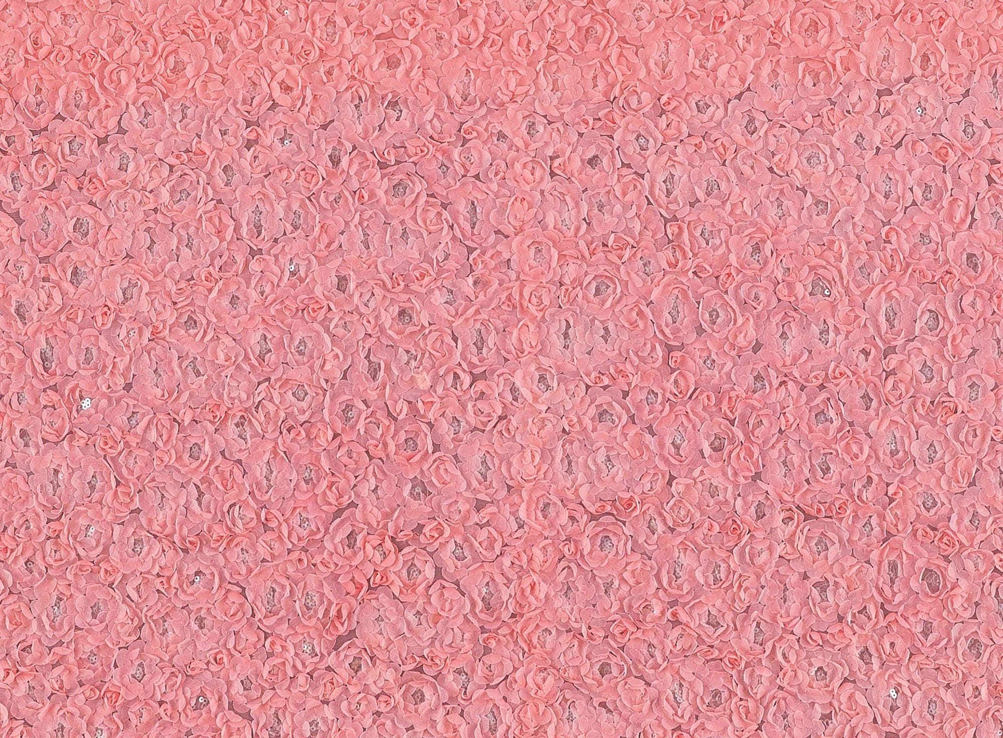 #color_CORAL/CLEAR