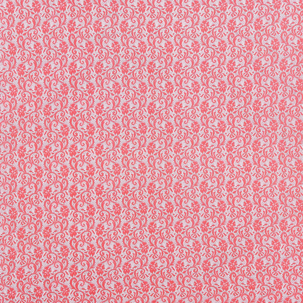 QUINCE FROST | 21869 - BELLA LACE - Zelouf Fabric