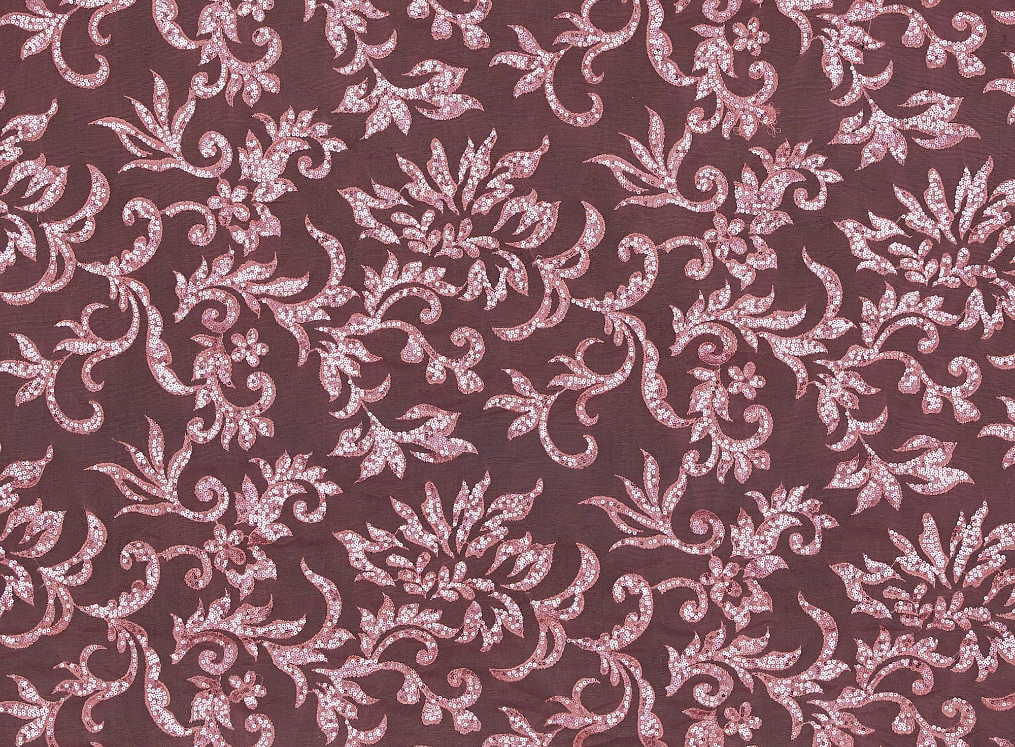 #color_NORTHERN CORAL