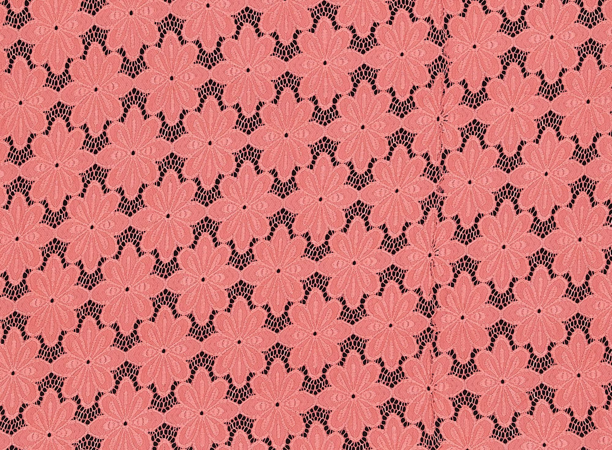 #color_CORAL