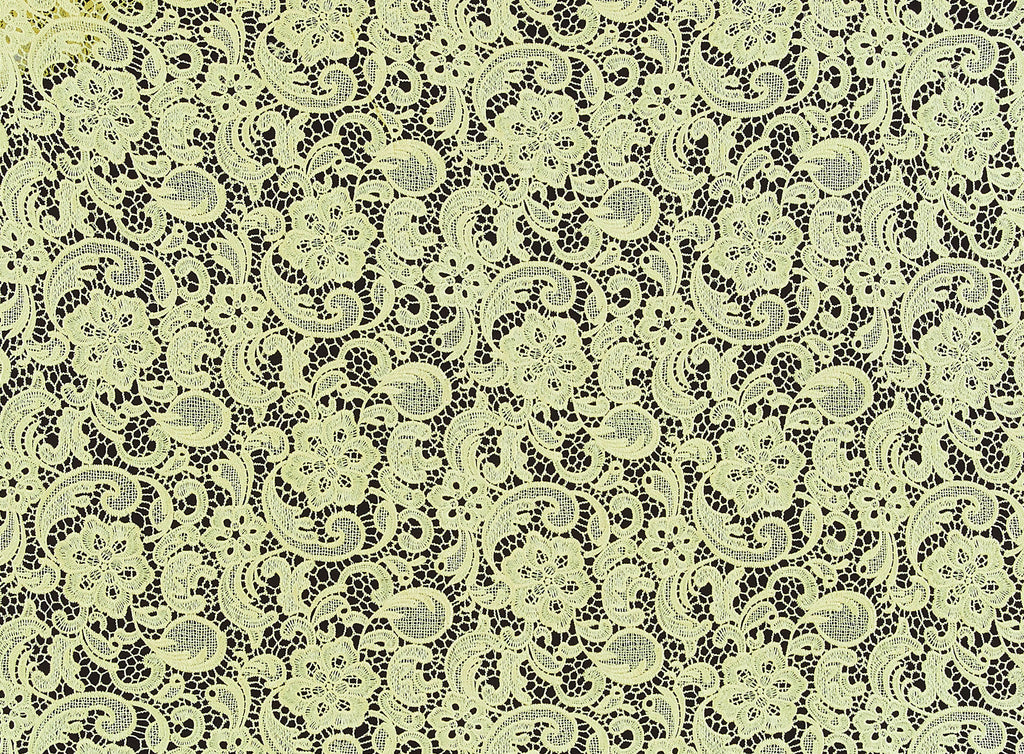 DASH LACE  | 22509  - Zelouf Fabrics
