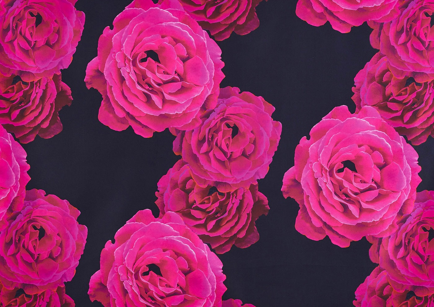 #color_BLACK/FUCHSIA