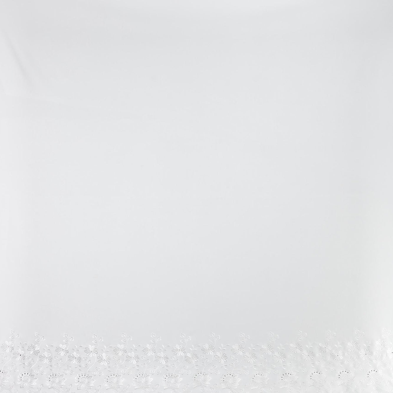#color_WHITE