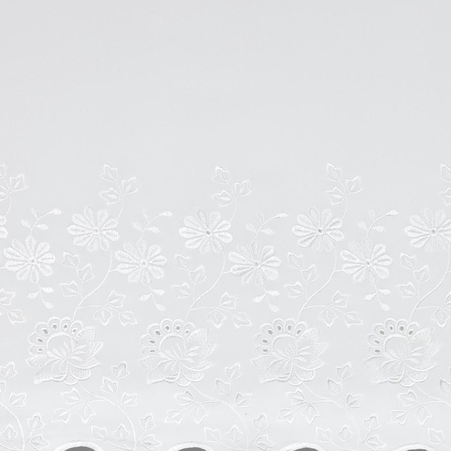 #color_WHITE