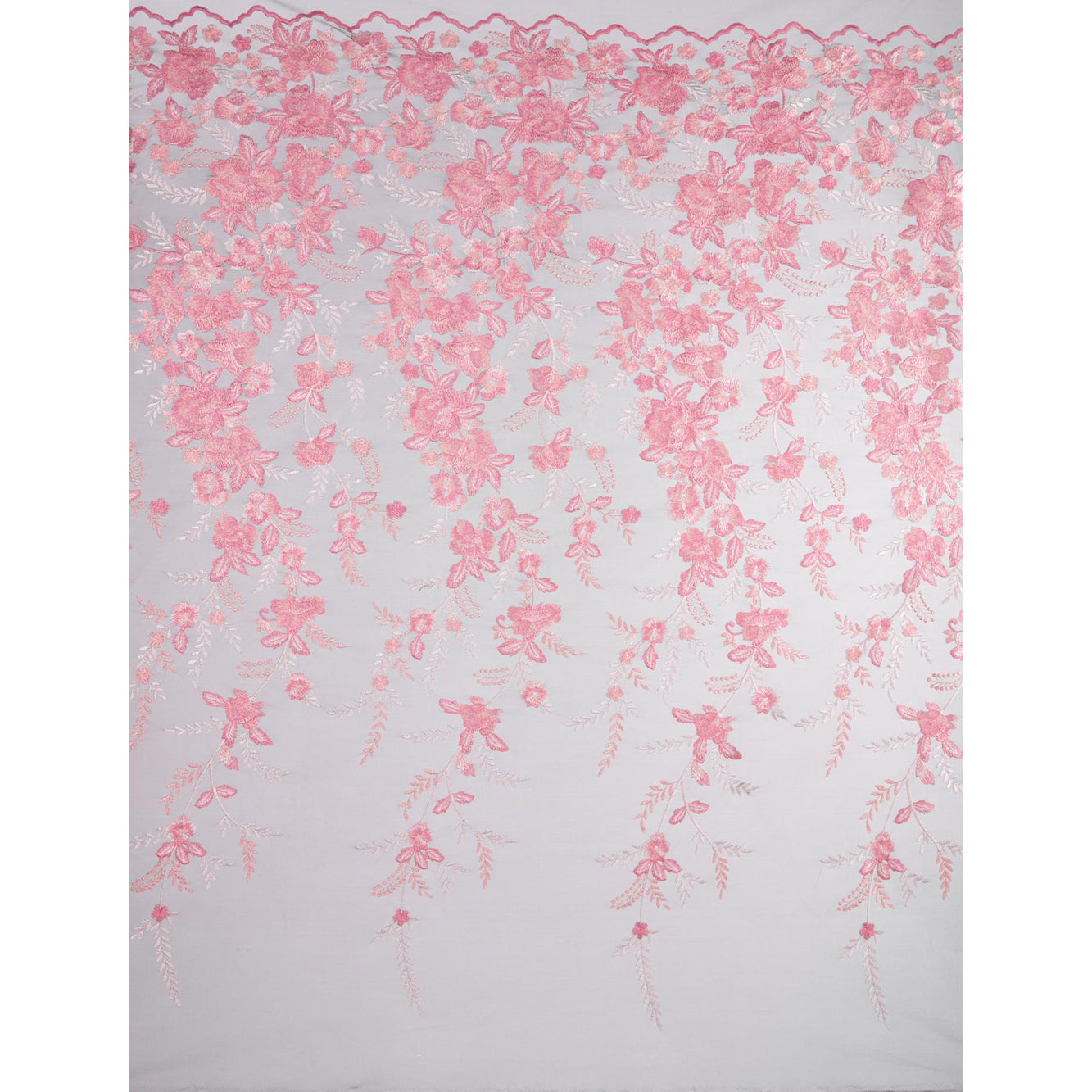 #color_BLACK/BLUSH