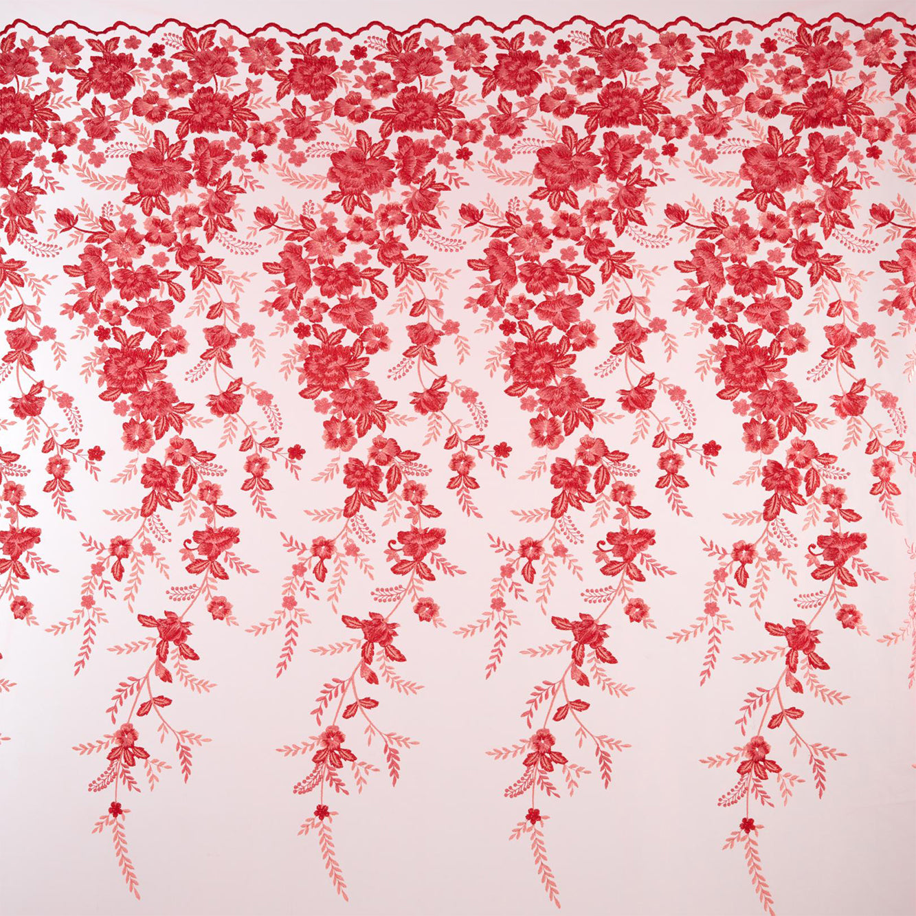 #color_BLUSH/CORAL