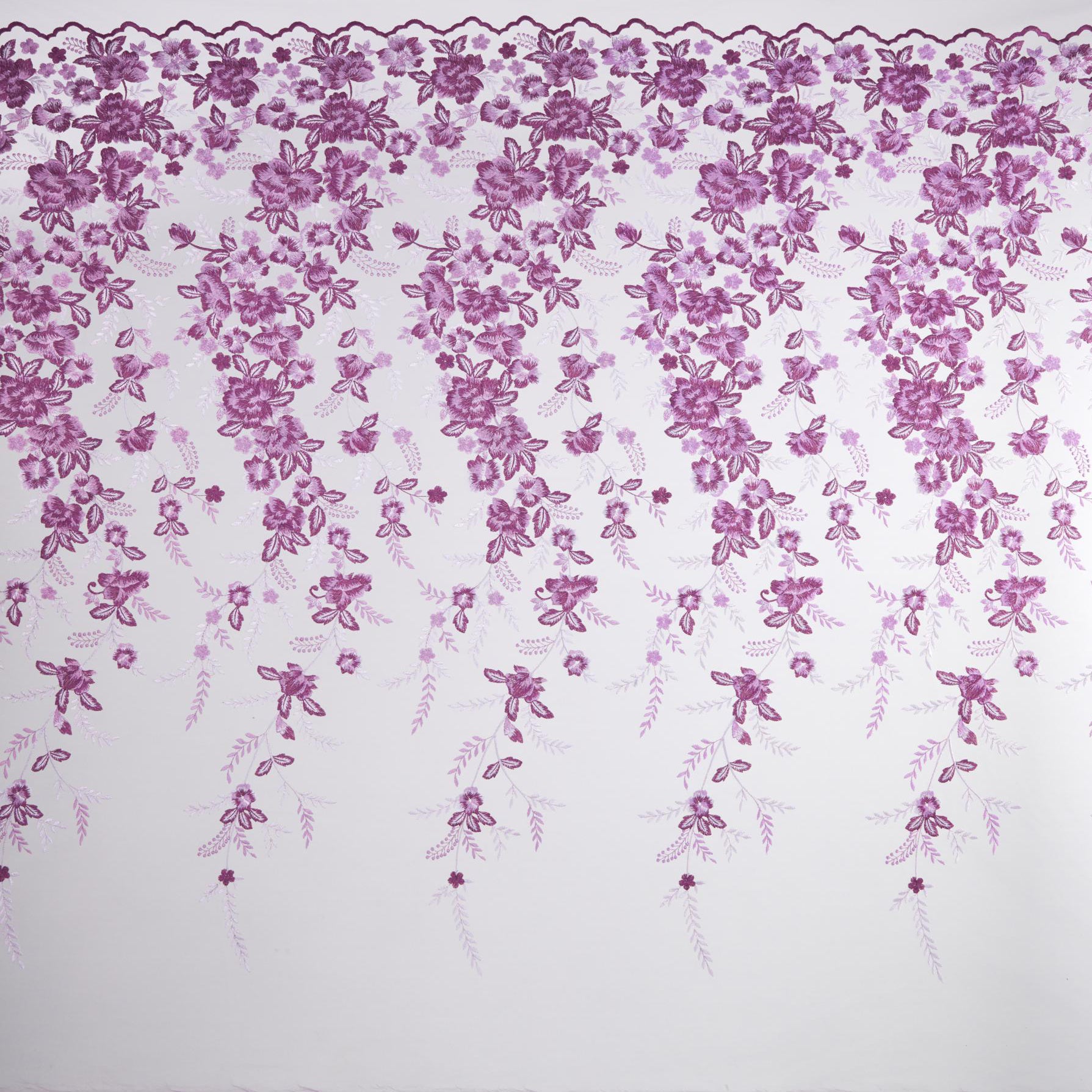 #color_LAVENDER/LILAC