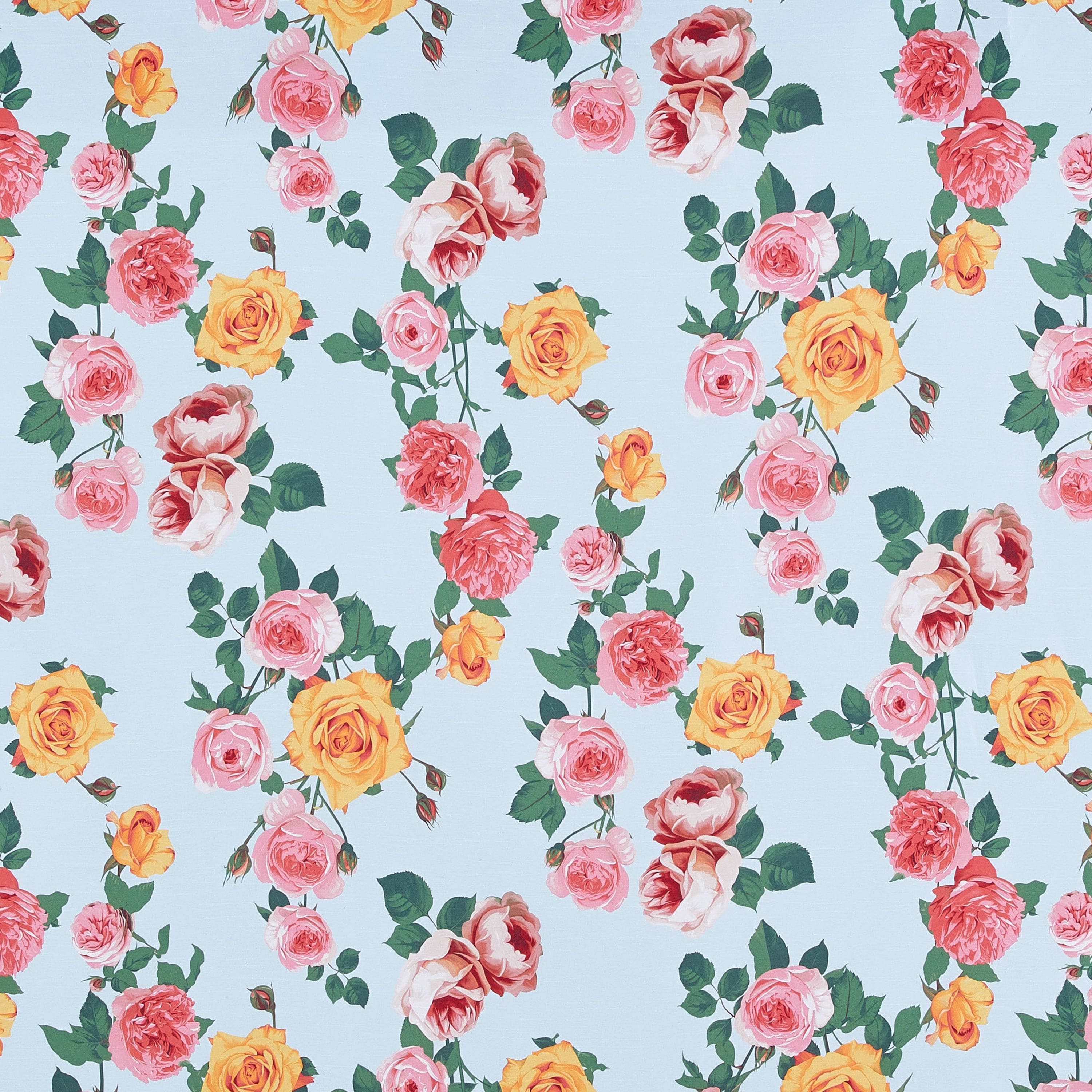 #color_AQUA/CORAL
