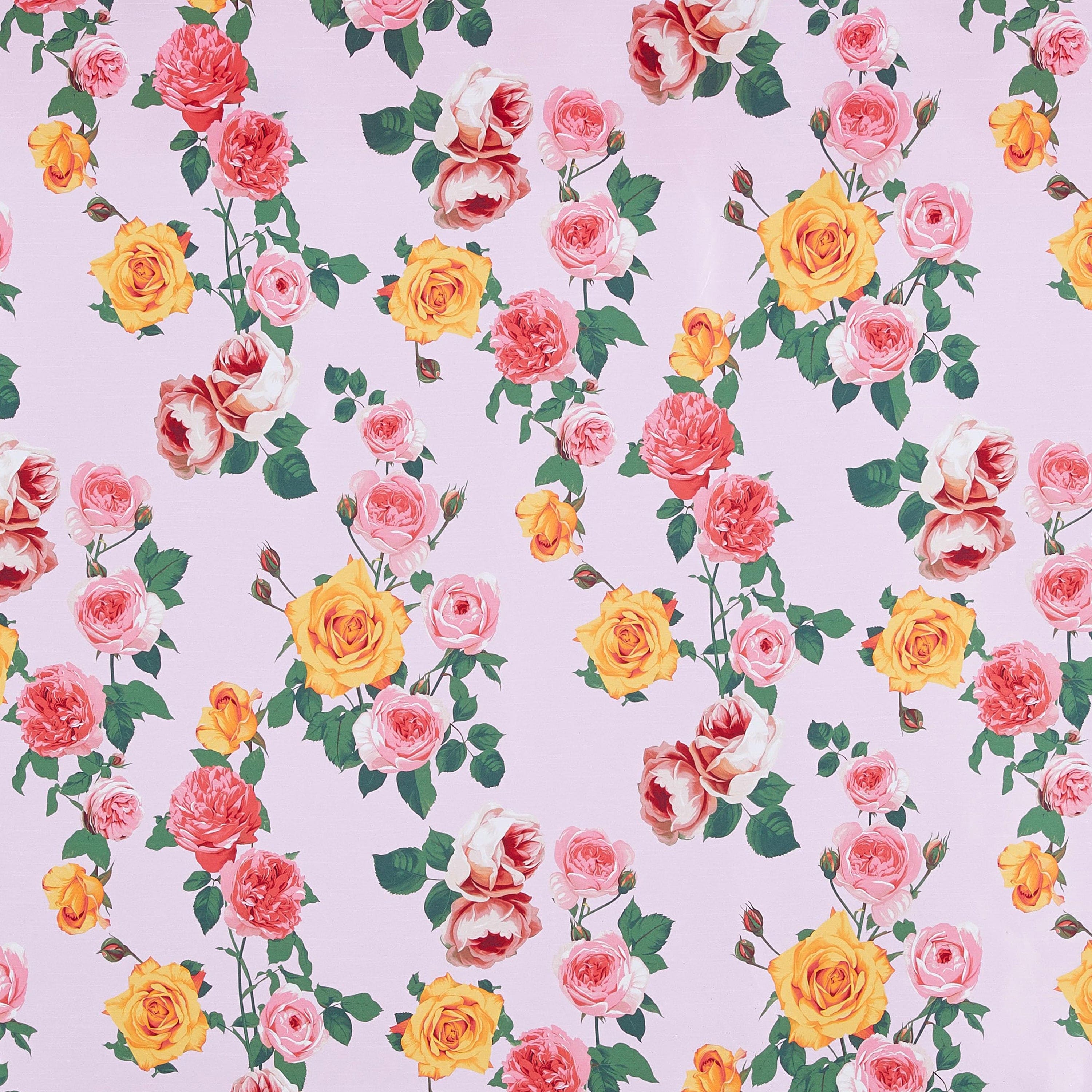 #color_PINK/CORAL