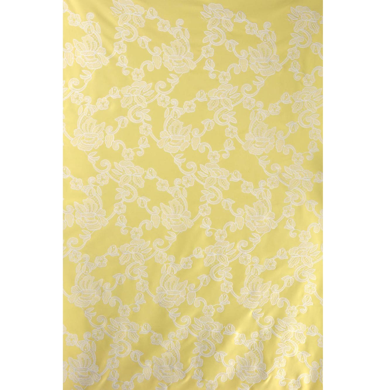 #color_LEMON WING