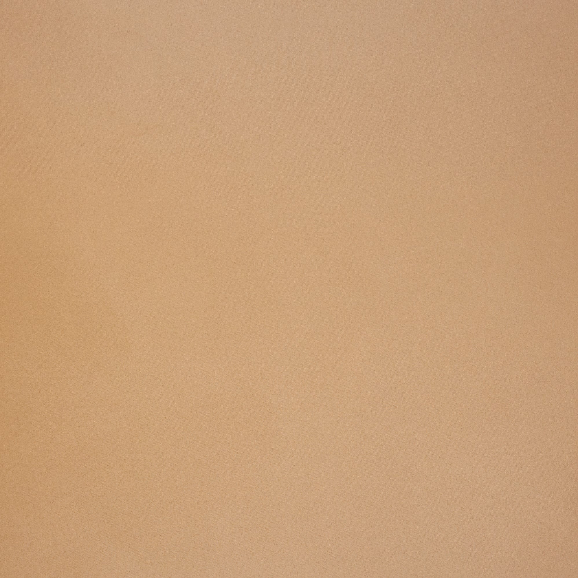 #color_EJ NUDE
