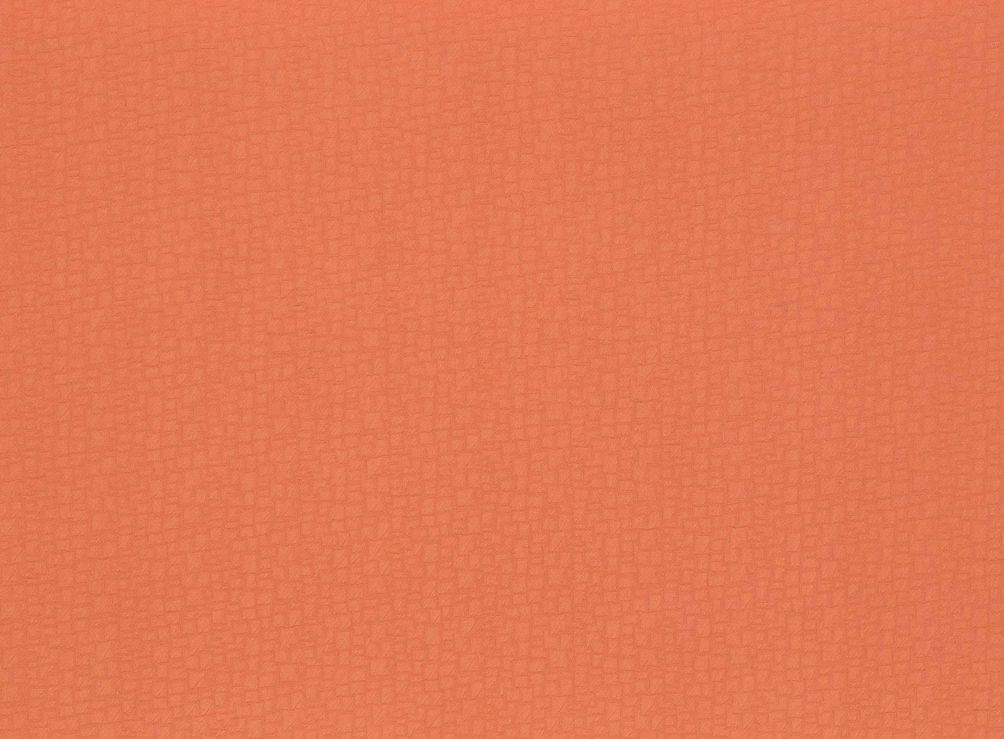 #color_881 CORAL