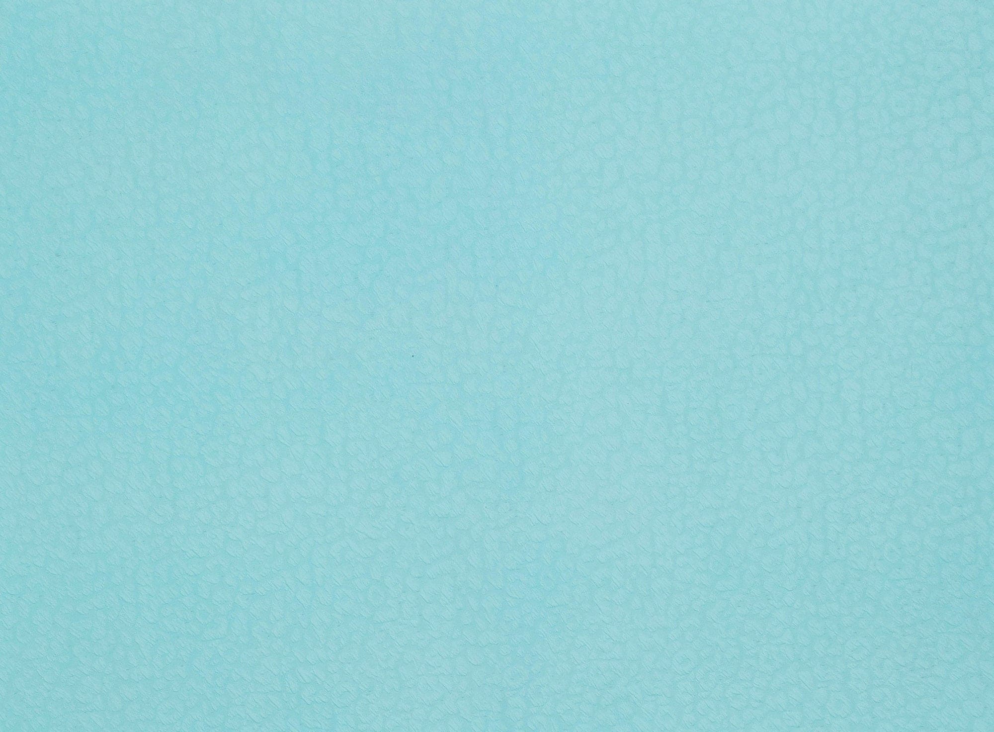 #color_441 BABY BLUE