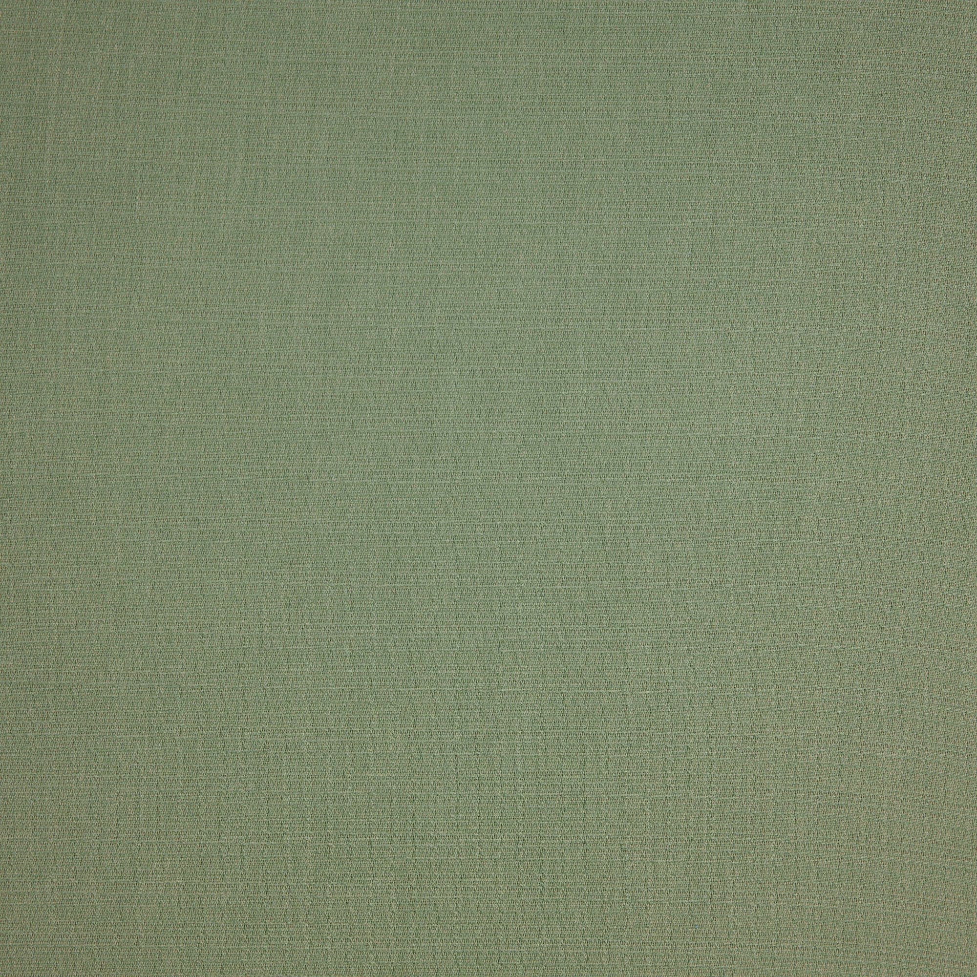 #color_COLOR#4