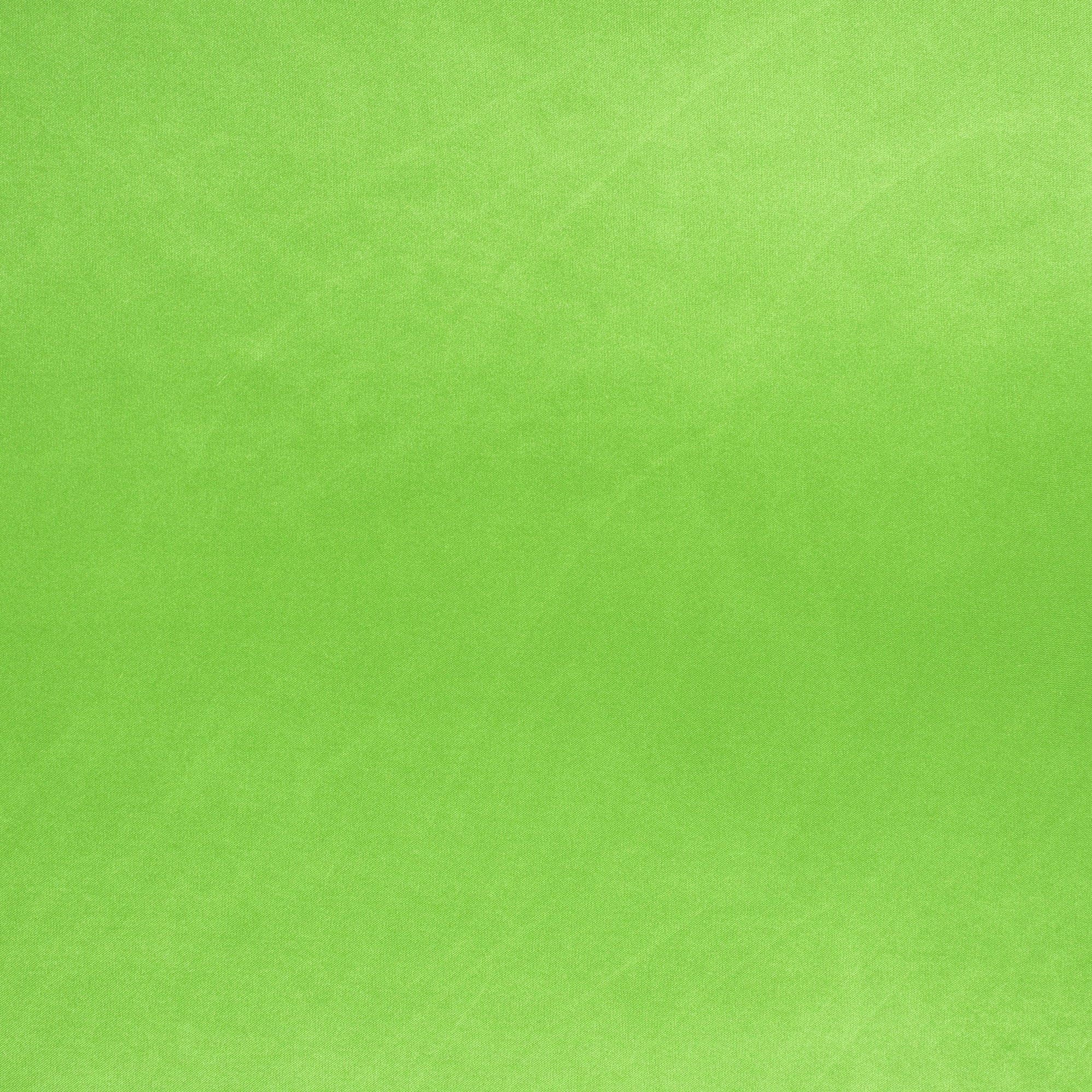 #color_KIWI LIME