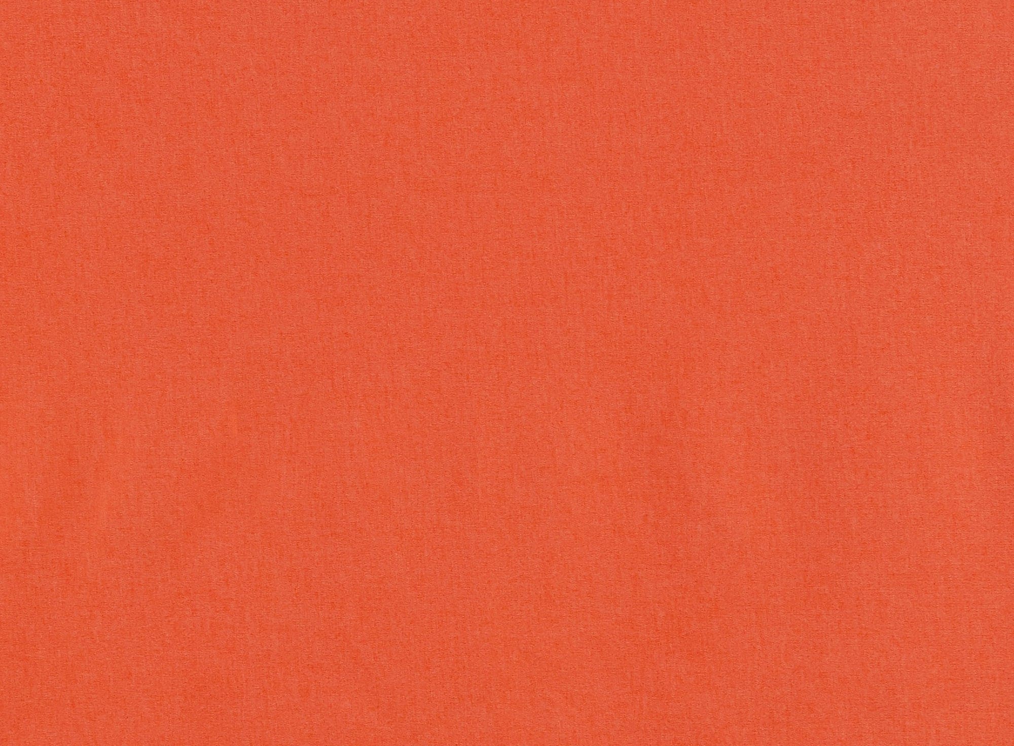 #color_888 ORANGE