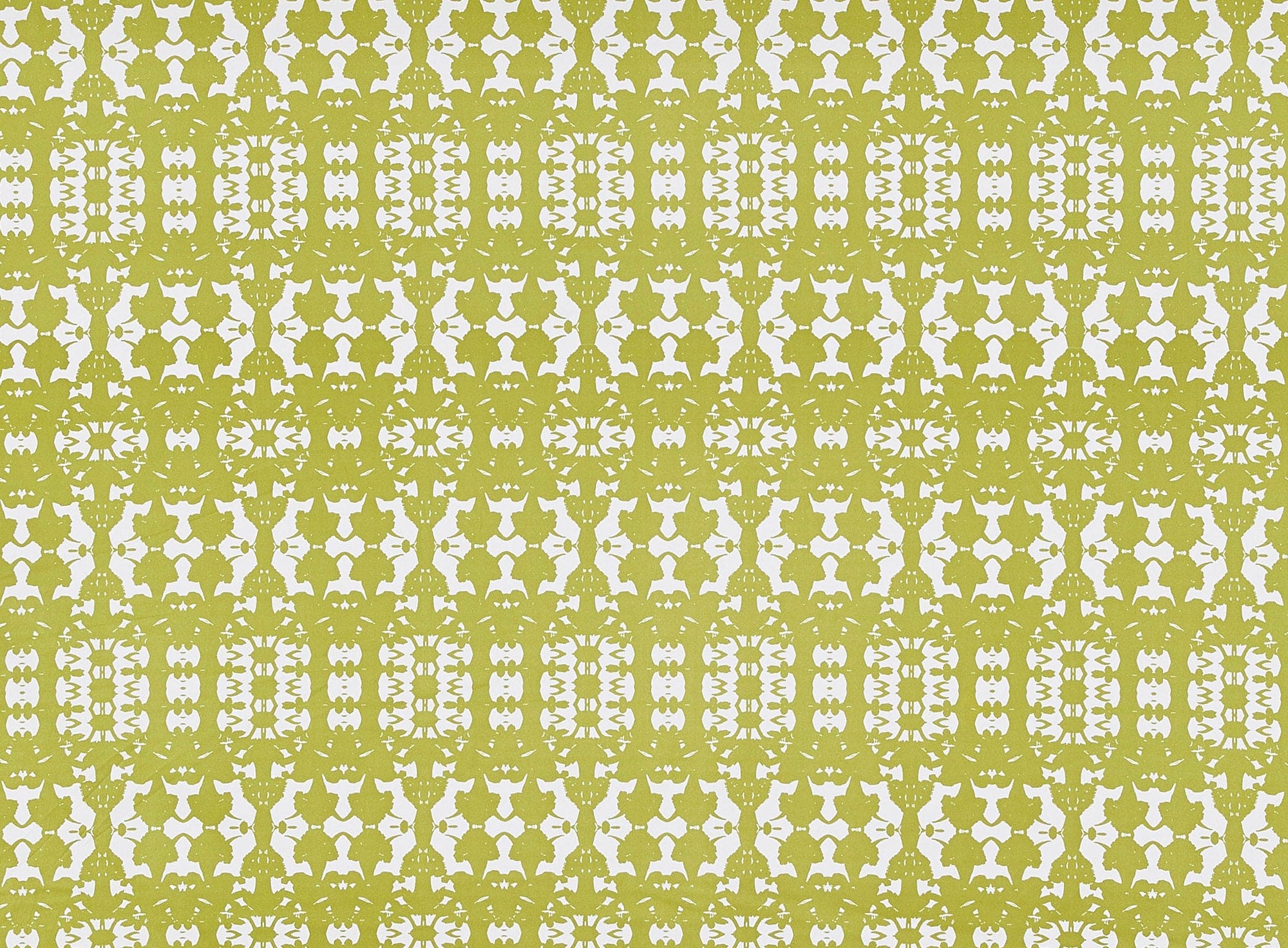 #color_177 CREAM/LIME