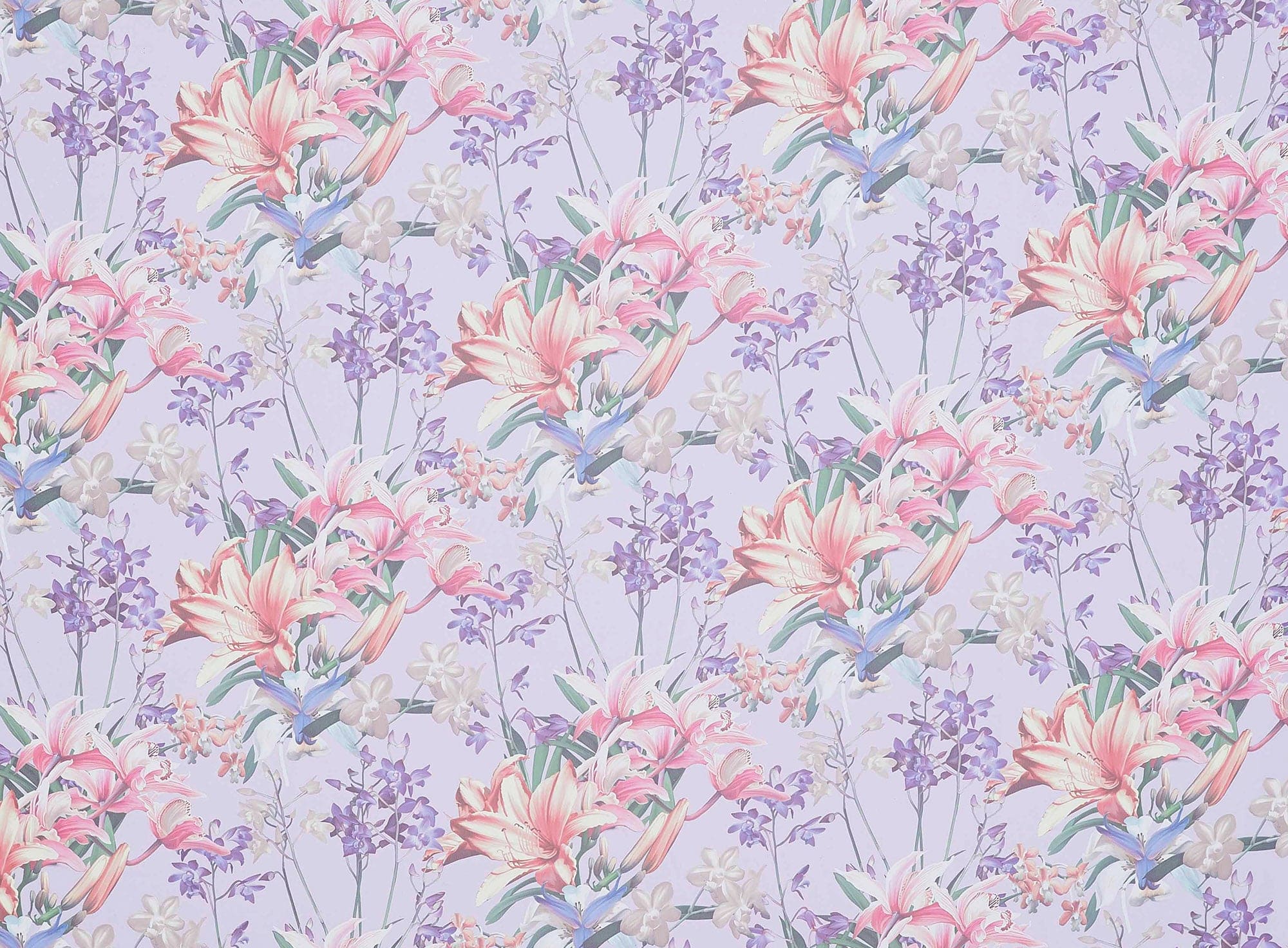 #color_682 LILAC/CORAL
