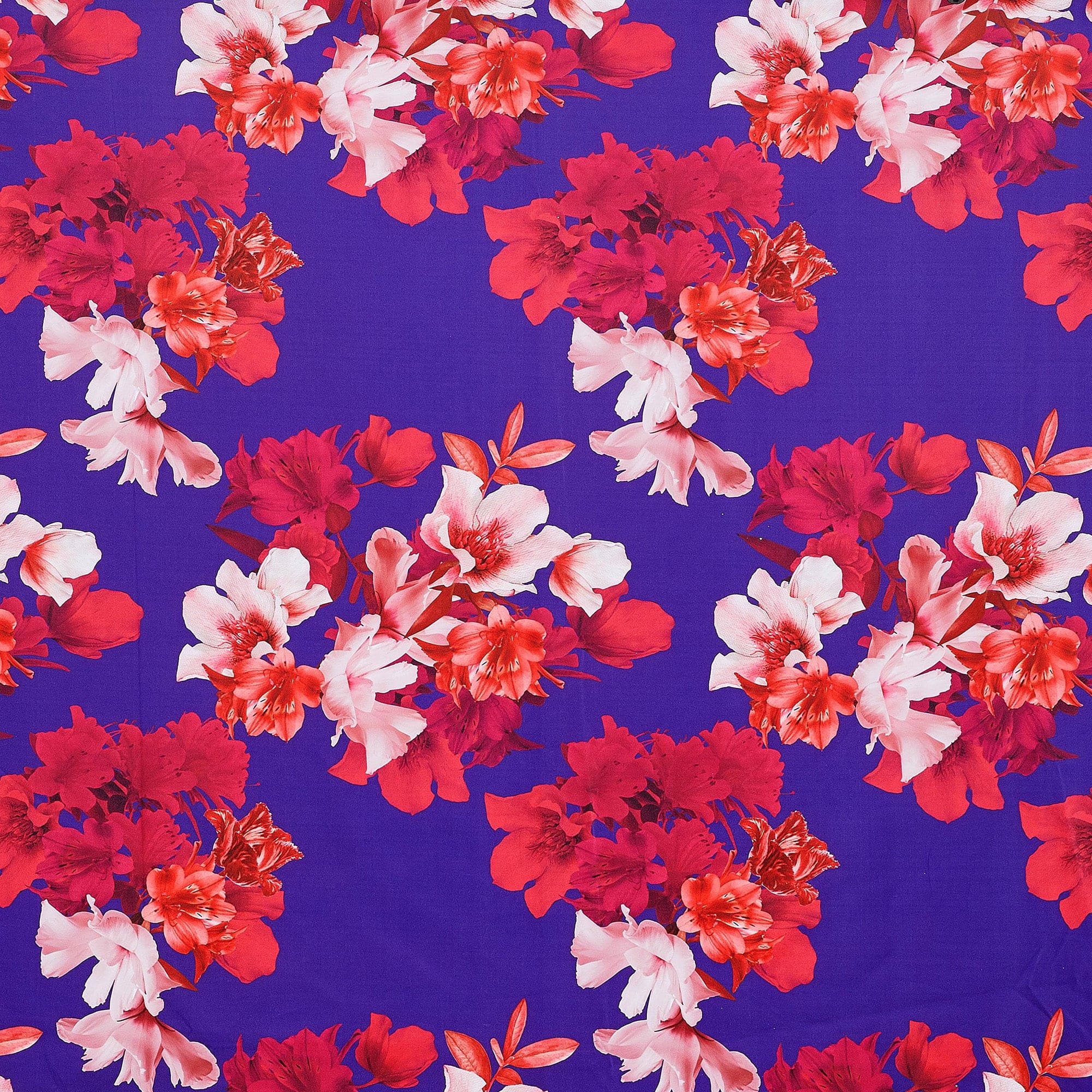 #color_638 VIOLET/CORAL