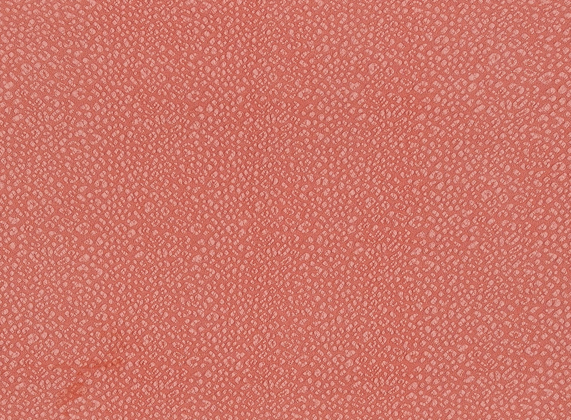 #color_CORAL CAKE