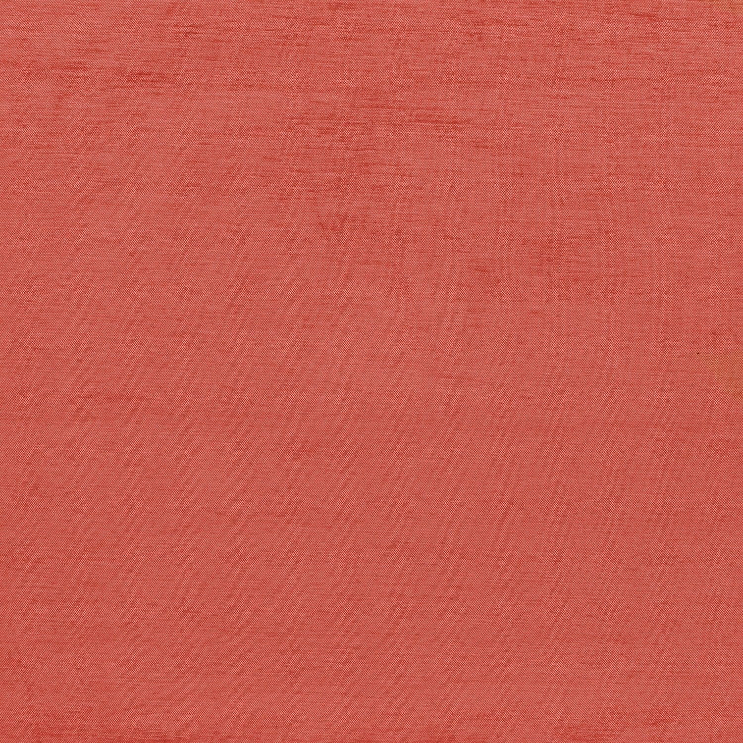 #color_CORAL BELLINI