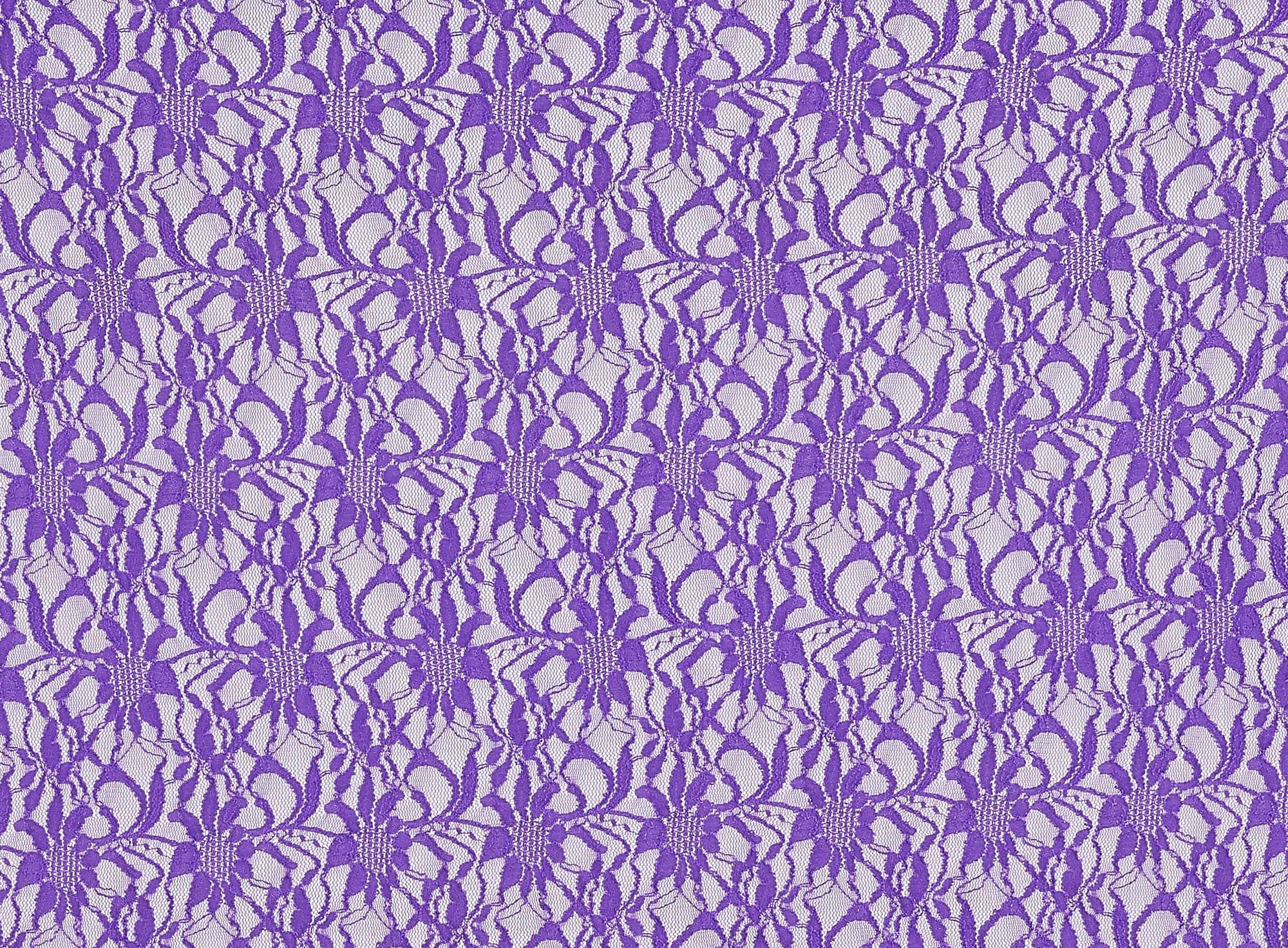#color_LILY LILAC