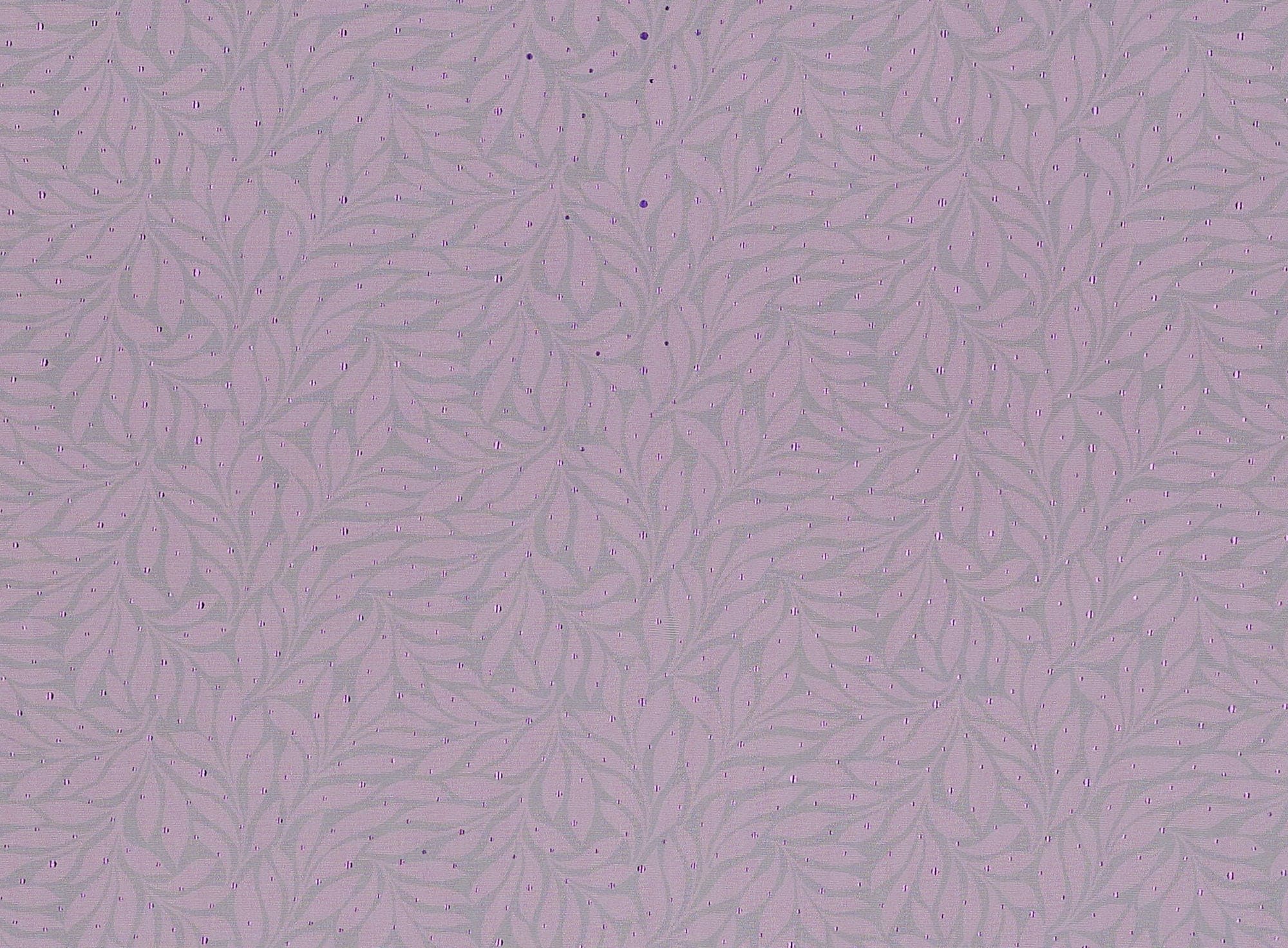 #color_JAZ MAGENTA/BLK