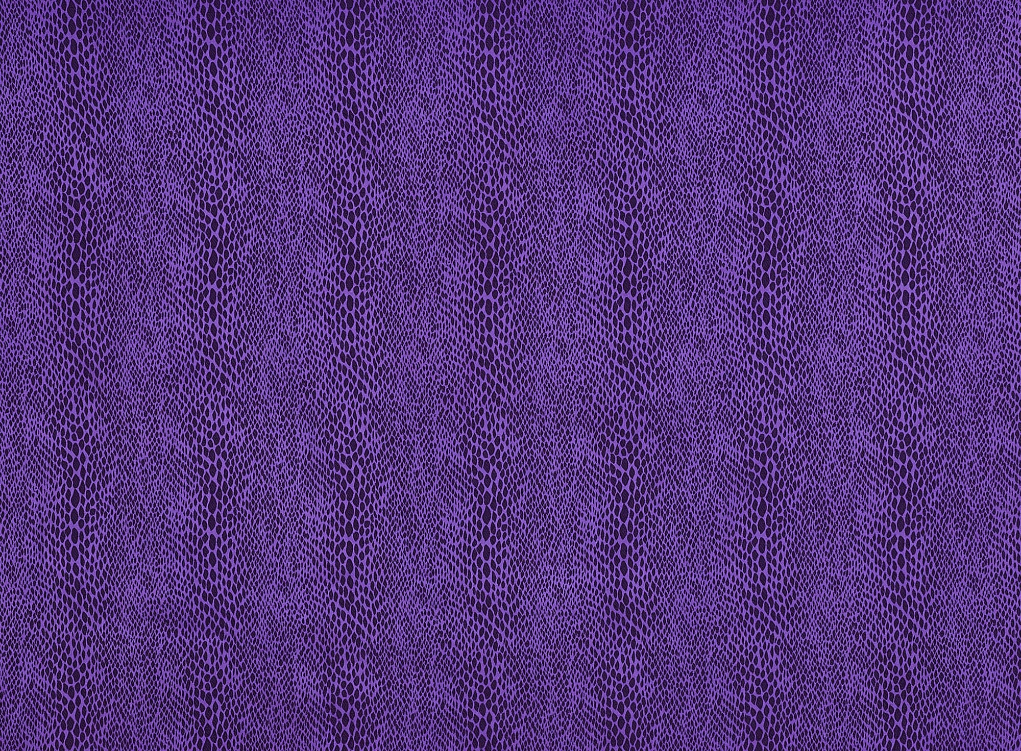 #color_PURPLE