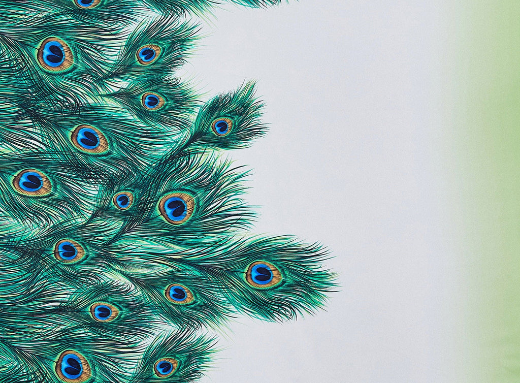 WHT/PEACOCK/GRN | 9679-404 - BORDER PEACOCK FEATHER PRINT ON SINGLE OMBRE CHARM - Zelouf Fabrics