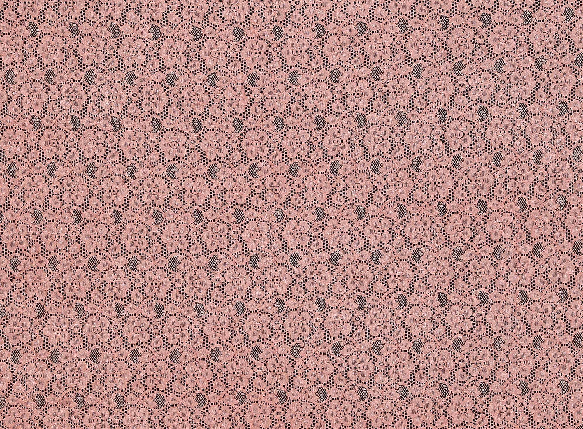#color_CORAL BLISS/SIL