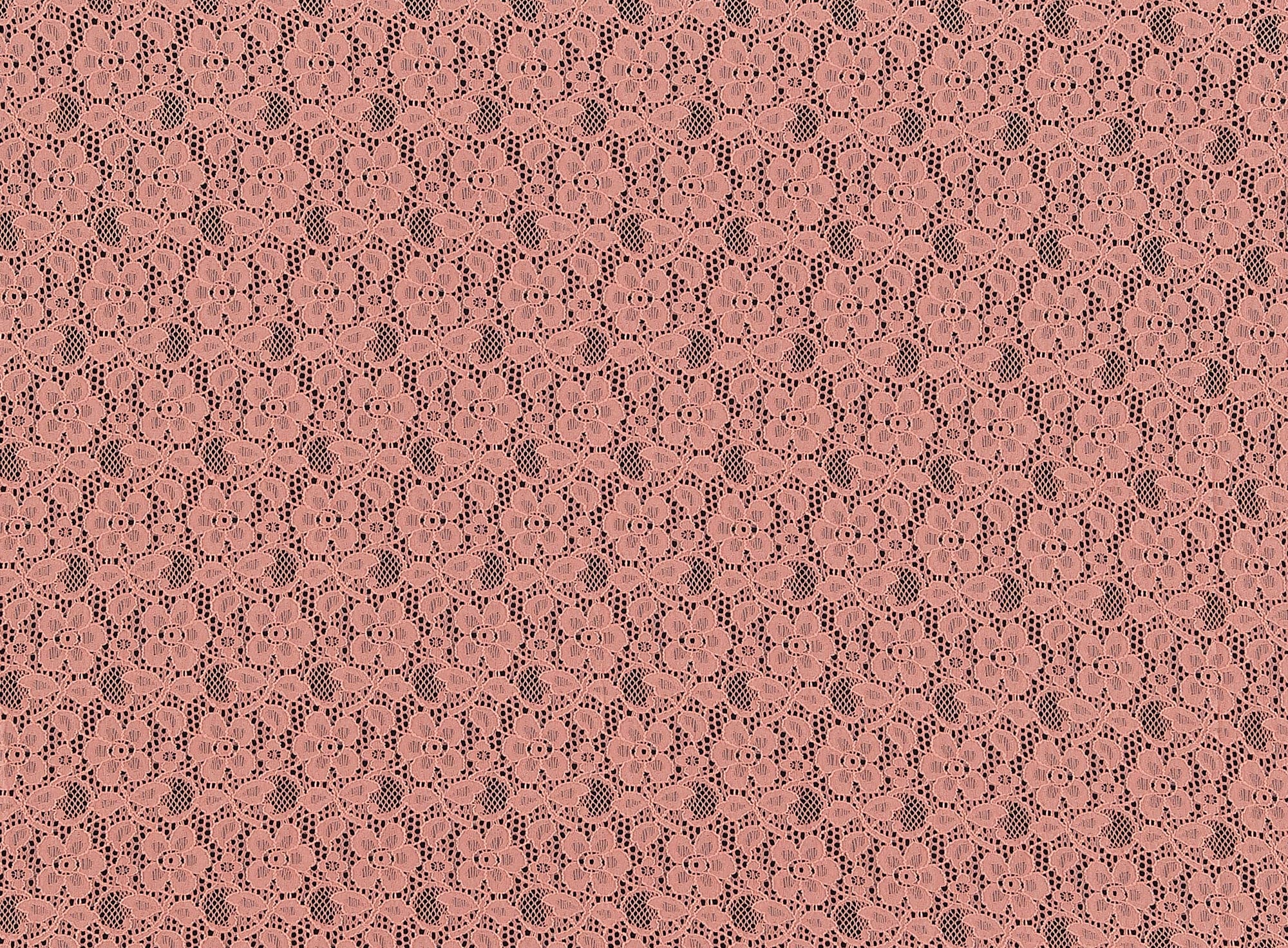 #color_CORAL BLISS