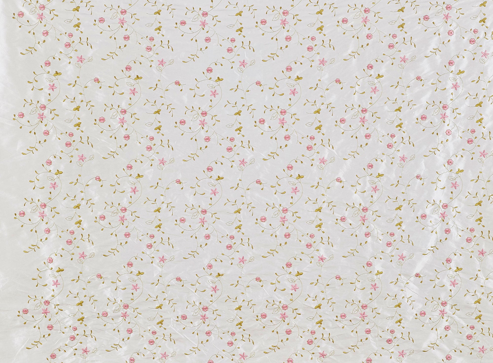 #color_BONE/CORAL