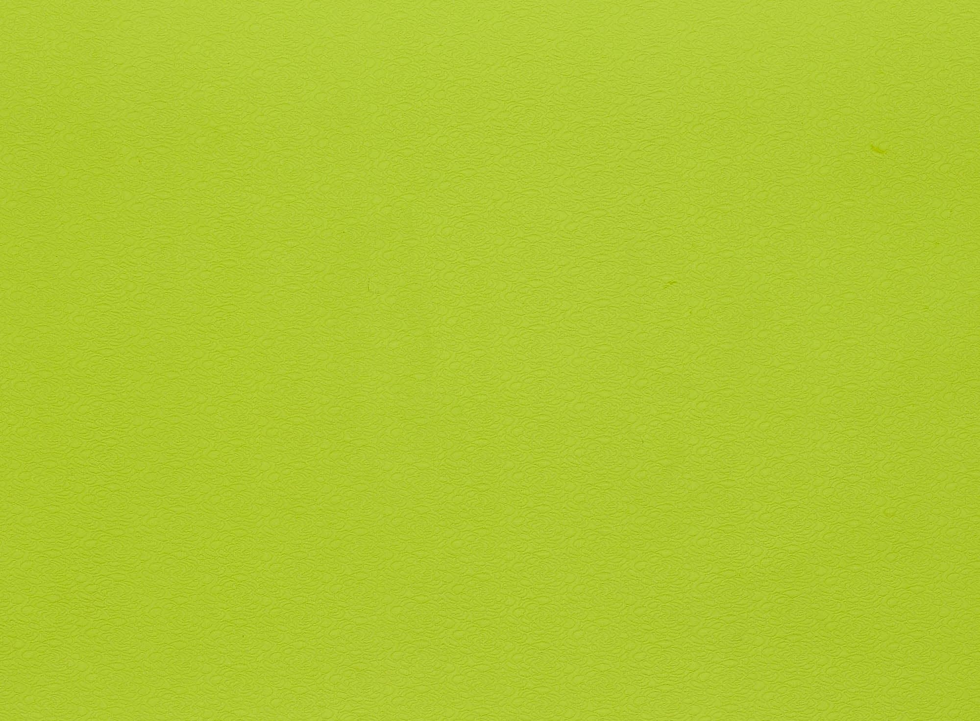 #color_771 VIVID LIME