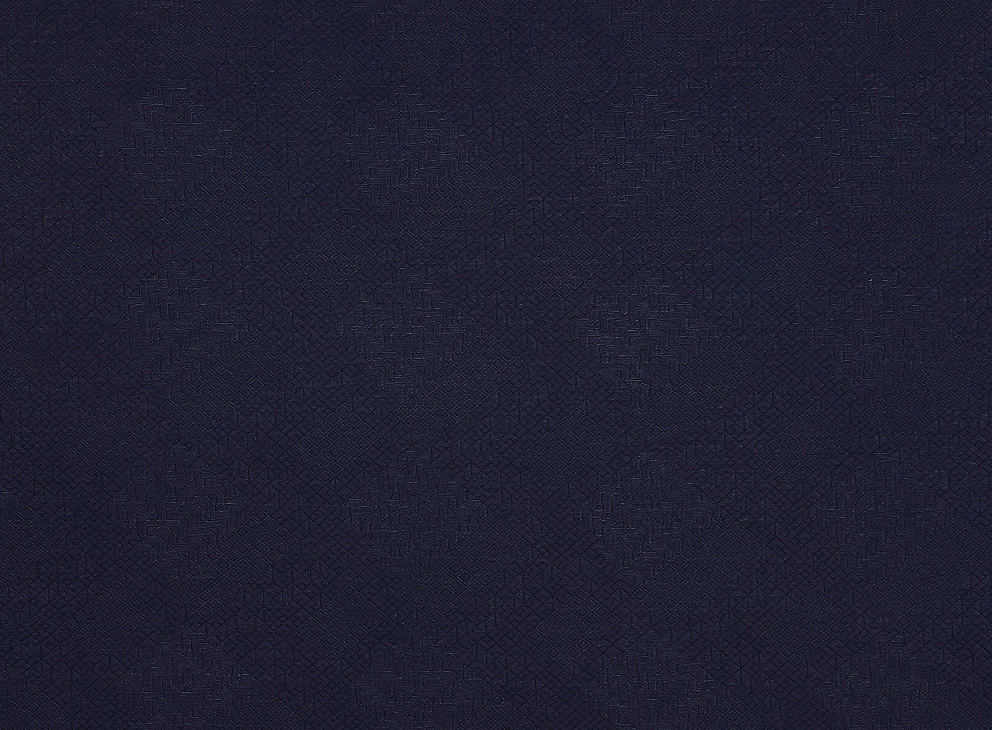 #color_449 NAVY