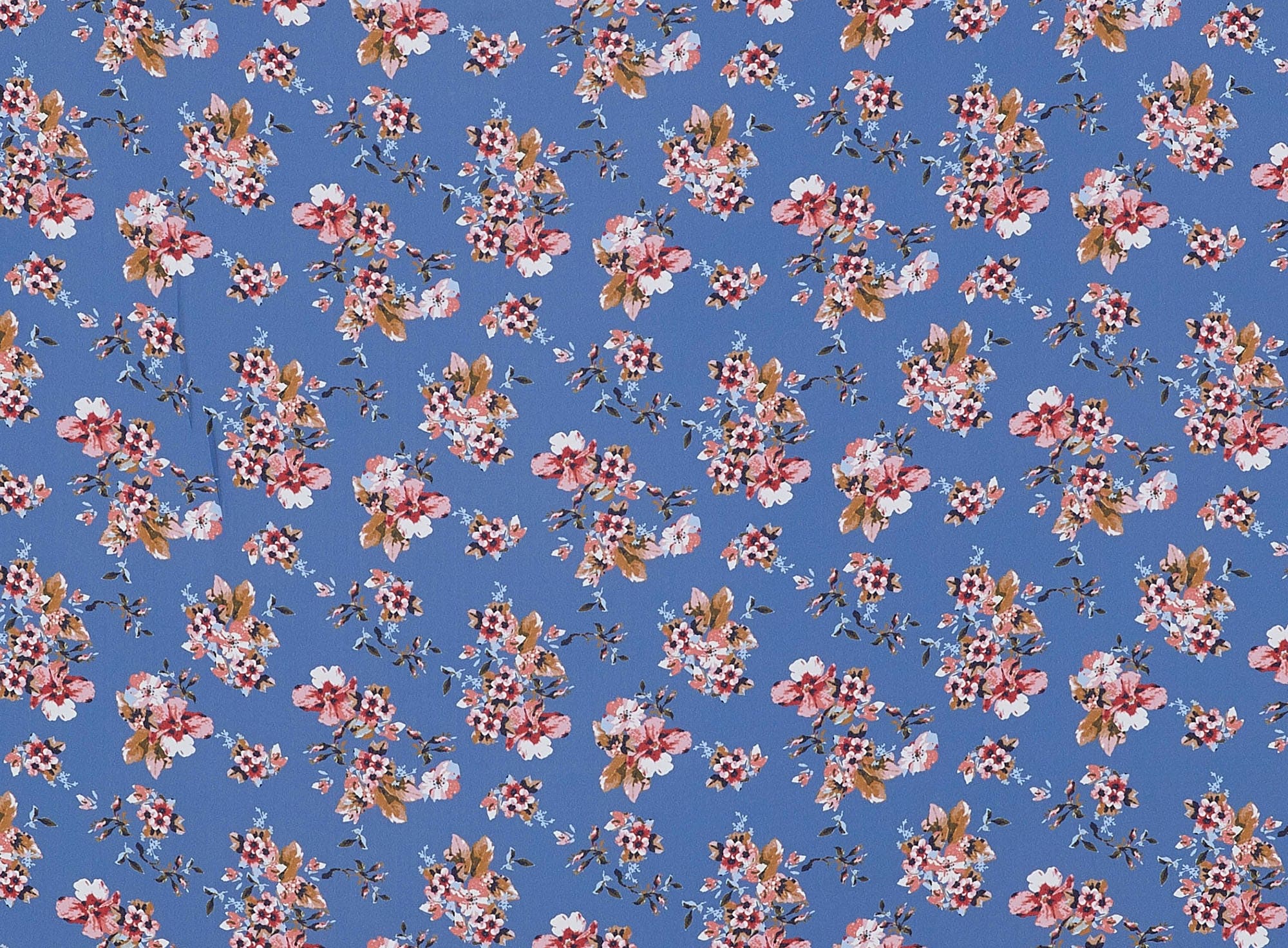 #color_C5 DKPERI/CORAL