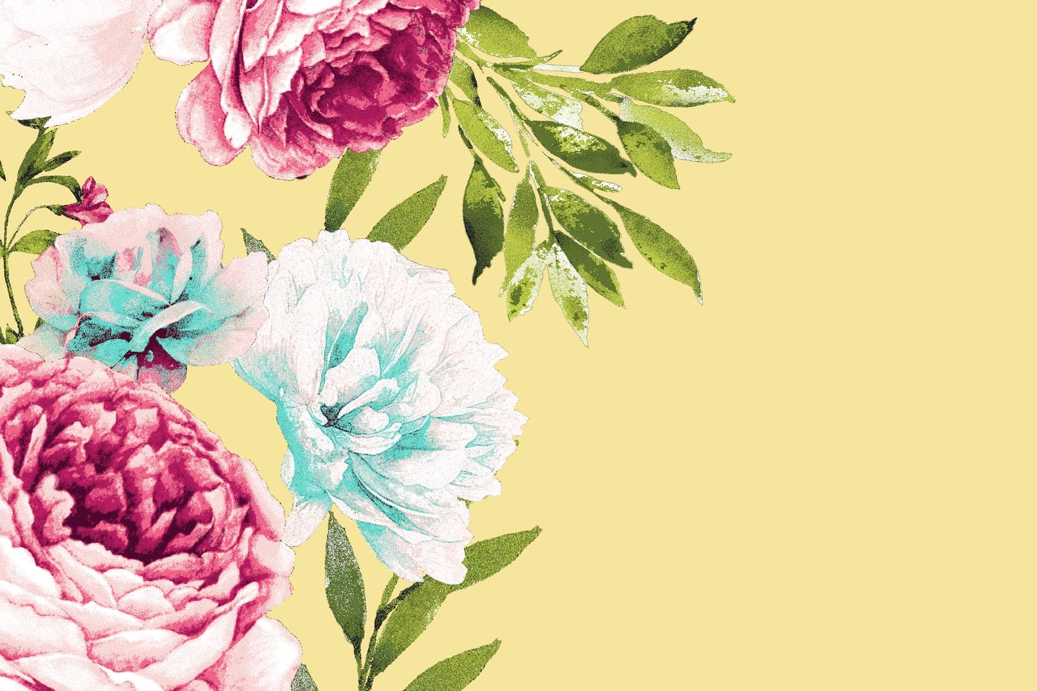 #color_CW 3 LEMON/PINK